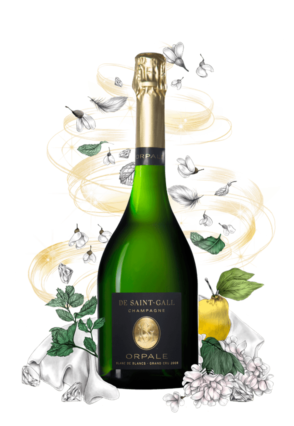 de Saint Gall ORPALE BRUT BLANC de BLANCS MILLESIME Grand Cru 2012 150 cl en Coffret